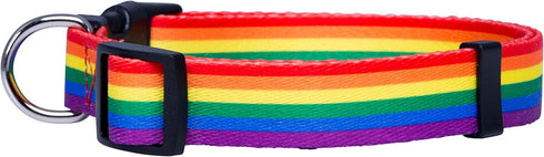 Native Pup Rainbow Flag Dog Collar, Large, LGBTQ Flags Equality Pet Apparel Decor Gift