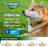 Emerald Pet Little Chewzzies Wheat Free Training Dog Treats - Healthy Natural Chews with Real Meat or Peanut Butter, 5