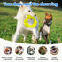 Indestructible Dog Chew Ring Toys for Medium Large Dogs, Interactive Heavy Duty Teething Rings for Aggressive Chewers