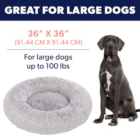 Premium Portable Dog Beds for Medium and Large Dogs - Travel Furniture - Fits Dogs up to 45 lbs, Light Grey (Medium)