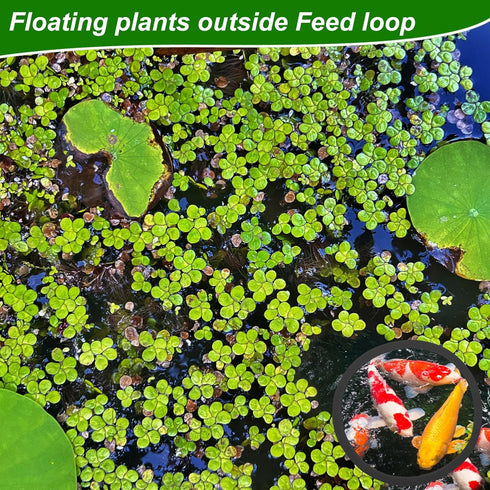 5pcs Aquarium Floating Plant Rings, Foam Floating Plant Corral, Fish Feeding Rings for Keeping Plants in Place (Black)