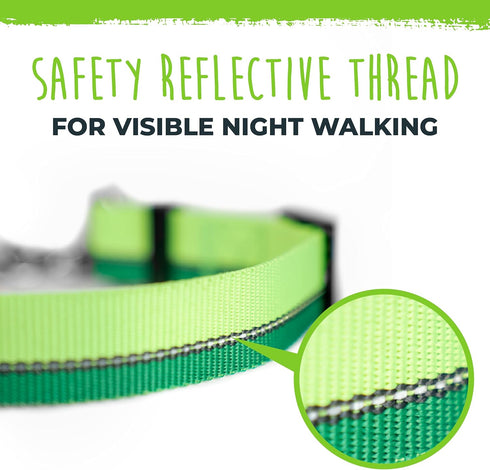 Mighty Paw Martingale Dog Collar - Gentle Correction with 100% Stainless Steel Chain, Weatherproof Nylon, Durable