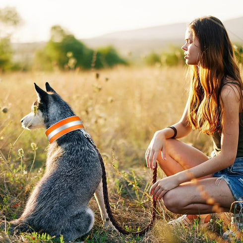 2 Pcs High Visibility Reflective Dog Collar, Adjustable Pet Collars with Quick Release Fastener for Small Medium Large