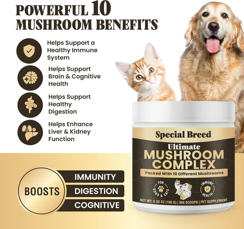 Immunity Immune 360 Mushroom Powder for Dogs & Cats - Organic Mushroom Complex for Support, Function, Cognition