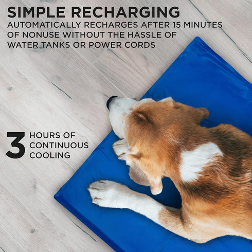 Arf Pets Pet Dog Self Cooling Mat Pad, 19 x 35 for Kennels, Crates, and Beds