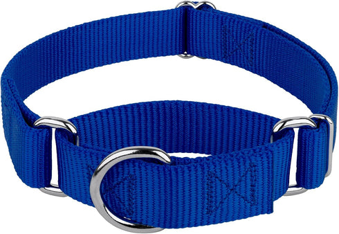 Country Brook Petz Martingale Dog Collar - Heavy-Duty Training Collar, Royal Blue, 1 Inch, Large