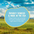 Hotspot Pets Premium Lamb Lung Dog Treats - 1lb Big Bag, All-Natural, High Protein, Made in USA