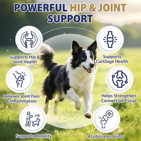 200 Omega3, Inflammatory Hip and Joint Supplement for Dogs Dog Calming Chews with Glucosamine, Chondroitin, Msm