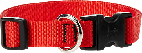 LupinePet Basics Adjustable Collar for Medium and Larger Dogs, 13-22", Red