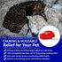 Pack Pet Fit For Life Stuffed Animal for Cats - Calming Sleep Aid with USB Rechargeable Heart Beat & Heat for Anxiety