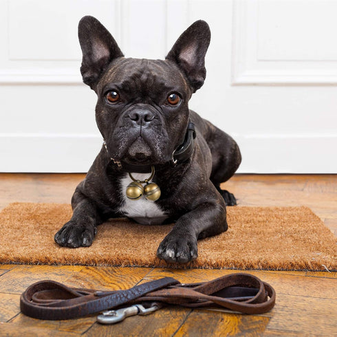 Ripeng Dog Bells for Pet Tracking, 4 Pcs Extra Loud Dog Cat Bells for Collar with Key Rings