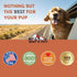 Dog Glucosamine Supplement, Supports Hip & Joint Health, Glucosamine for Dogs, 1 fl oz