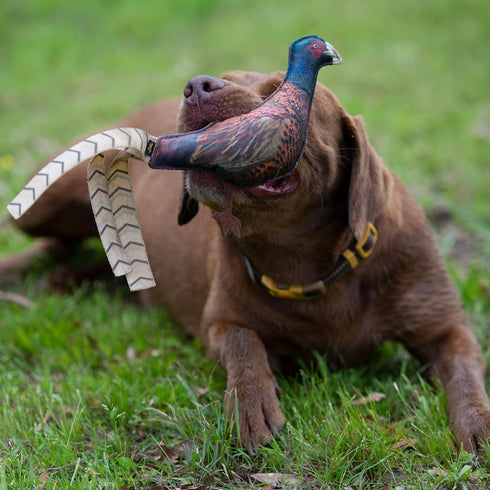 Browning Pheasant Chew Toy, Brown (P000015690199)