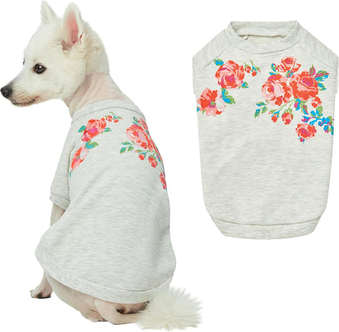 Blueberry Pet Floral Rose Print Pullover Sweatshirt for Dogs - Lightweight Spring Outfit, 10 inch Back Length in Grey
