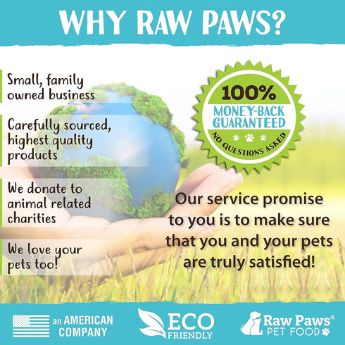 Raw Paws Grooming Brush, Hand-Held Rubber Tipped Pin Brush for Dogs & Cats, Bath Brush for Shedding