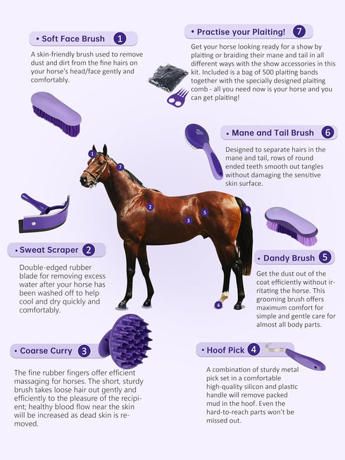 7 Set Harrison Howard Horse Grooming Kit, Piece Horse Brush with Curry Comb, Hoof Pick, Sweat Scraper & Bag Purple
