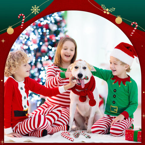 24 Pcs Christmas Dog Rope Toys, Interactive Chew Toys for Small Medium Large Dogs, Classic Style