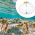 Automatic Opening Closing Fishing Net Cage Crab Traps for Crabbing Fishing Net Bait Shrimp Cage Steel Wire Crab Nets