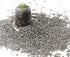CJGQ Decorative River Rocks Pebbles for Succulents, Cacti & Gardens, Aquarium Gravel,