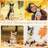Sanwuta 30 Pcs Fall Dog Collar Flowers, Thanksgiving Pet Bow Ties Holiday Accessories for Small Medium Large Dogs