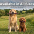Sensrit 10 oz Dog Beef Sticks - Jerky Treats for All Dogs - High Protein & Grain Free Dog Snacks - Made with Real Beef