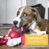 KONG Ball with Rope - Dog Fetch Toy with Rope for Easy Throwing - Durable Dog Ball Toy for Tug, Playtime & More - Natural Rubber Ball Rope Toy for Dogs - Red, For Small Dogs