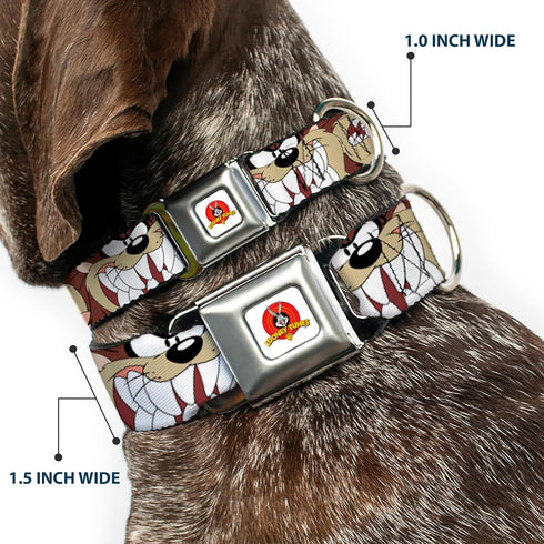 Dog Collar Seatbelt Buckle, Tasmanian Devil Expressions, Brown, 18 to 32 Inches, 1.5 Inch Wide