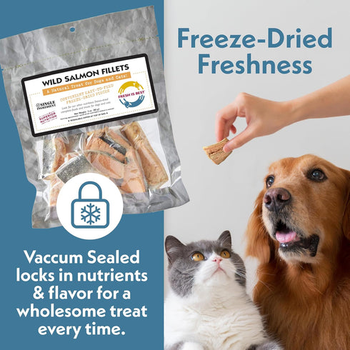 Fresh Is Best Salmon Fillets Freeze Dried Dog Treats Raw Freeze Dried Fish for Cats & Canines in Resealable Zipper Bag