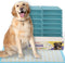 PetsWorld Health Monitoring Dog Pee Pads 37"x54" 25 Count XXXL Color-Changing Pet
