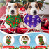 120 Set 30 Sanwuta Pcs Christmas Dog Bandanas Bulk Xmas Bandanas for Dogs Triangle Kerchief Bibs Scarf for Pet