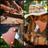 NedFoss Warthog Camping Hatchet Axe, 9" Full Tang Small Axe with Leather Sheath, Tomahawk for Outdoor Backpacking