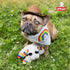 (10.5", 5 Multipet Lamb Chop Dog Plush Toy w/Birthday Hat - Squeaky Toy for All Dogs - Extra Soft Plush - Stuffed