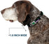 Dog Collar Seatbelt Buckle, Joker Die Laughing Haha, Black Purple Green, 15 to 26 Inches Wide