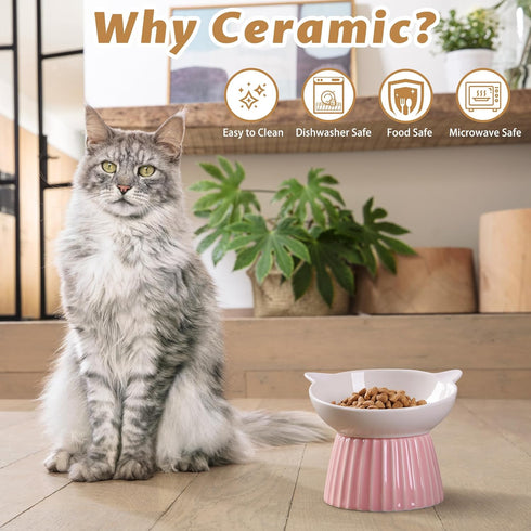 Ceramic Raised Cat Bowl, Tilted Anti Vomit Feeder for Indoor Cats, Microwave & Dishwasher Safe