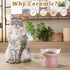 Ceramic Raised Cat Bowl, Tilted Anti Vomit Feeder for Indoor Cats, Microwave & Dishwasher Safe
