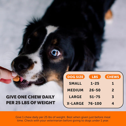 Pet Honesty Hemp Hip & Joint Supplement for Dogs, Glucosamine Chondroitin, Turmeric, Supports Mobility, Duck Flavor.