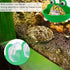Pssopp Aquatic Frog Habitat, Aquarium Wall Mounted Decoration with Sucker Pet Supplies for Frogs Toads Geckos Tadpole, 3.2 x 5 x 3.8in