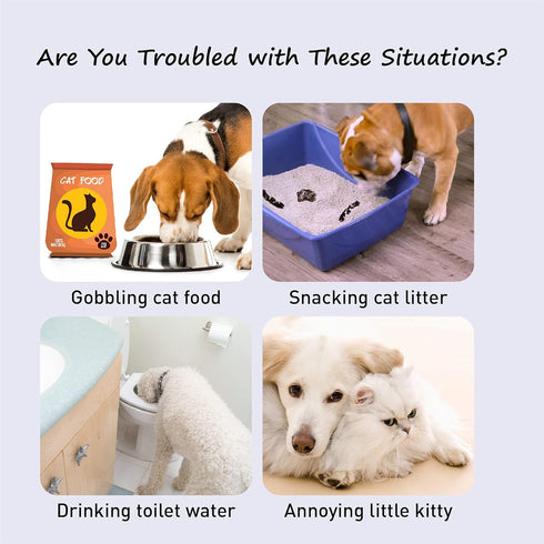 Adjustable Door Strap and Latch, Textile Cat Door Latch to Keep Dog Out of Litter Box, Economical Pet Gates, Basic 1