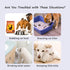 Adjustable Door Strap and Latch - Textile Cat Door Latch to Keep Dog Out of Litter Box, Economical Alternative to Pet