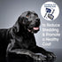 Four Paws Magic Coat Professional Grooming Brushes for Dogs & Cats, Trimmers, Nail Clippers & Brushes