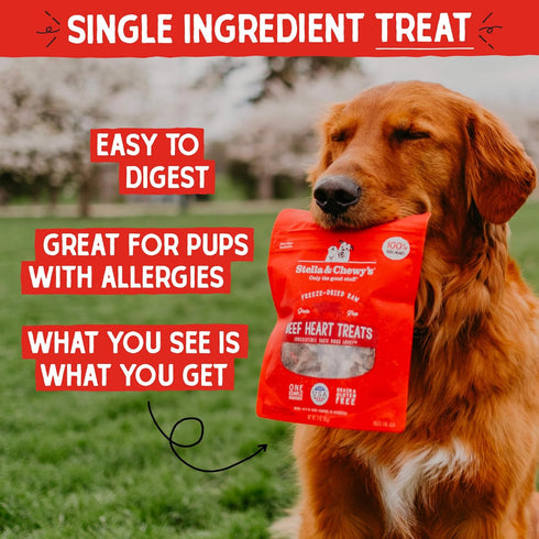 3oz Stella & Chewy's Freeze-Dried Raw Beef Heart Dog Treats - Single Ingredient, No Additives - Premium Training Treats