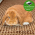 16 12 Inch 2Pcs) Rabbit Scratching Pad, x Natural Sisal Bunny Scratch Mat Scratcher Mats Claws and Teeth Care