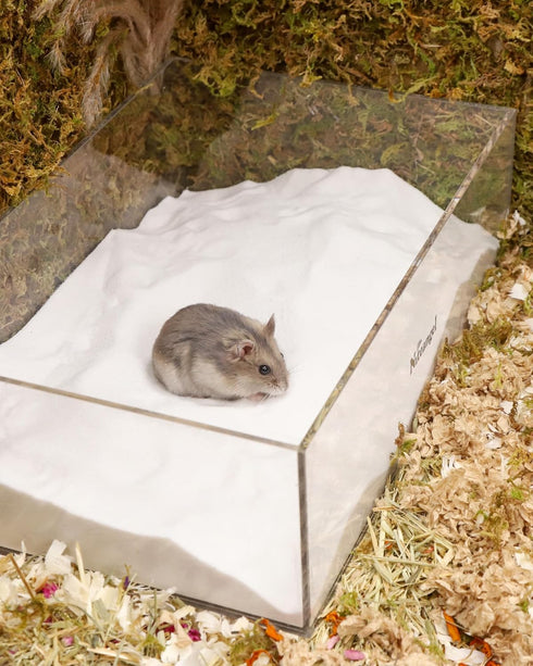 Chinchillas 6LB/96oz) Niteangel Hamster Desert Bath Sand | No-Dust Bath or Potty Litter for Hamster Gerbil Mice Degu