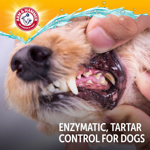 Hammer 6.2 Oz Arm & Complete Care Enzymatic Dog Toothpaste with Baking Soda and Calcium, Fluoride Free Formula