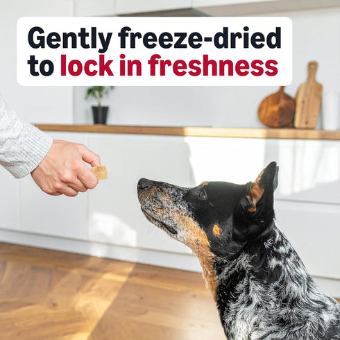3.3 (Pack 1), Packaging Amazon Basics Freeze-Dried Raw Single Ingredient Dog Treats (Previously Wag), Beef Liver, High
