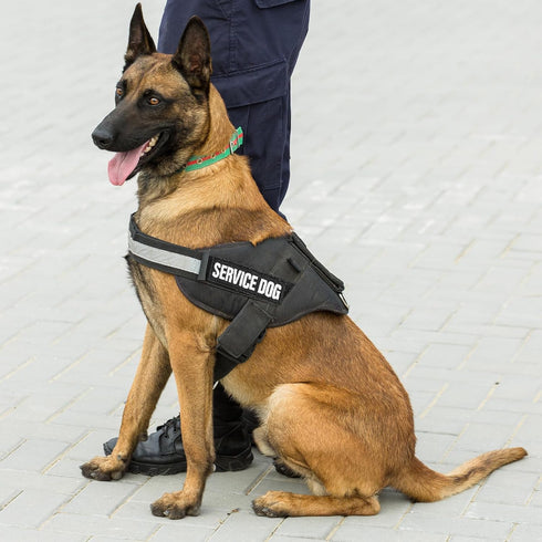 6 Pcs Luminous Service Dog Vest Patches, Removable Reflective Patches for Emotional Support Therapy Dog, 3.5x1.5inch