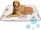 imiBBWQu Cooling Pad Cute Suck Pig Bear Dog Cooling Mat Pad Washable Cool