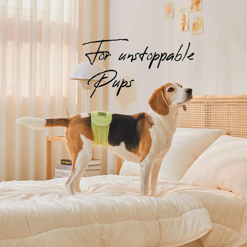 50 1 2 (17.5"-21.5" WICKEDPUP Male Dog Belly Band Kit, Diaper Pads & Reusable Male Wrap (Size Waist))