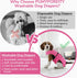 PUMYPOREITY Washable Female Dog Diaper, Adjustable Suspender Pantie, Escape-Proof Anti-Harassment Wear for Heat