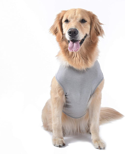 Star Wars for Pets Yoda Dog Tee - Soft Dog Shirt for Large Dogs, Size X-Large, Cute Dog Clothing